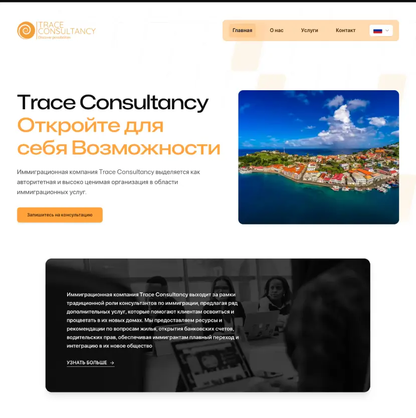 Trace Consultancy